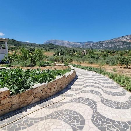 Villa Biriculi Dorgali Kültér fotó