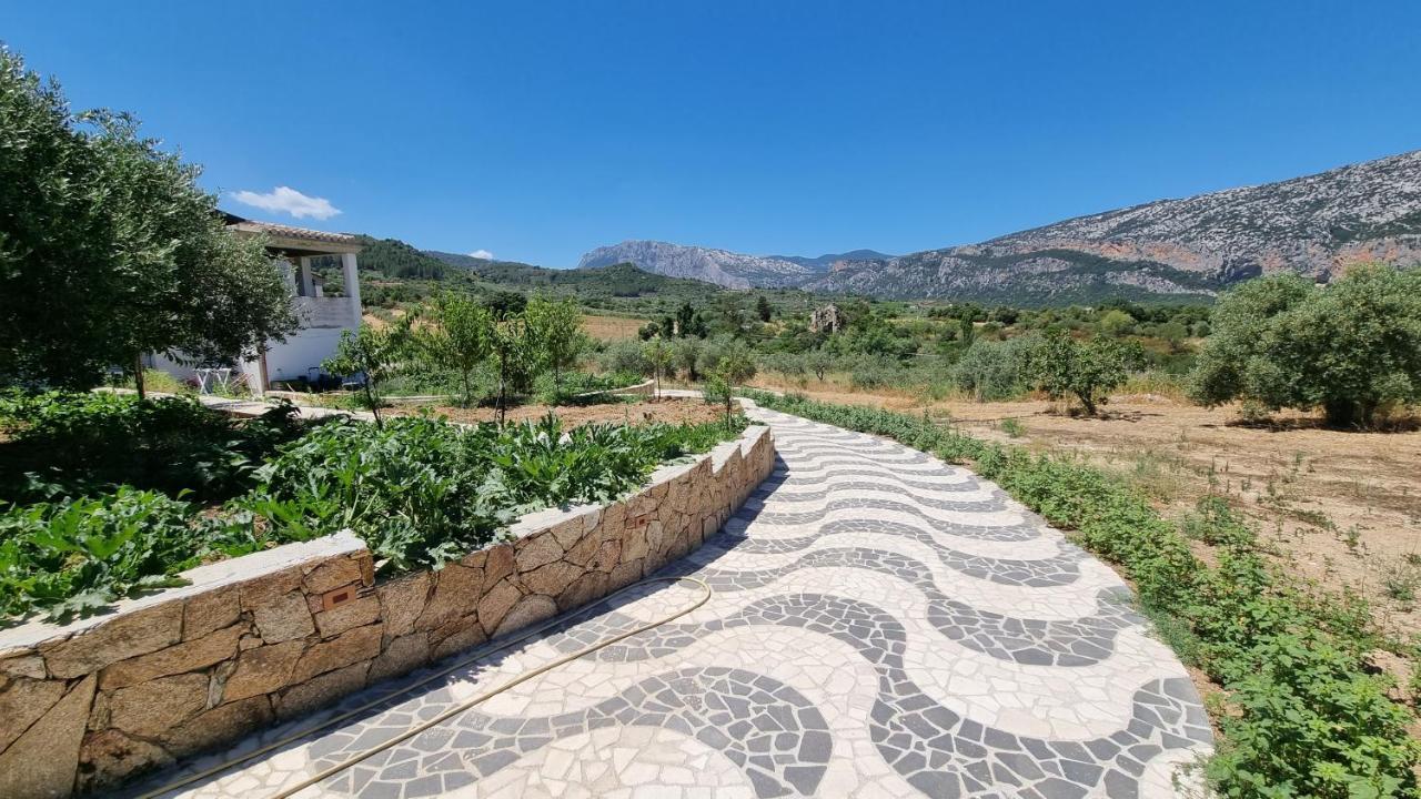 Villa Biriculi Dorgali Kültér fotó