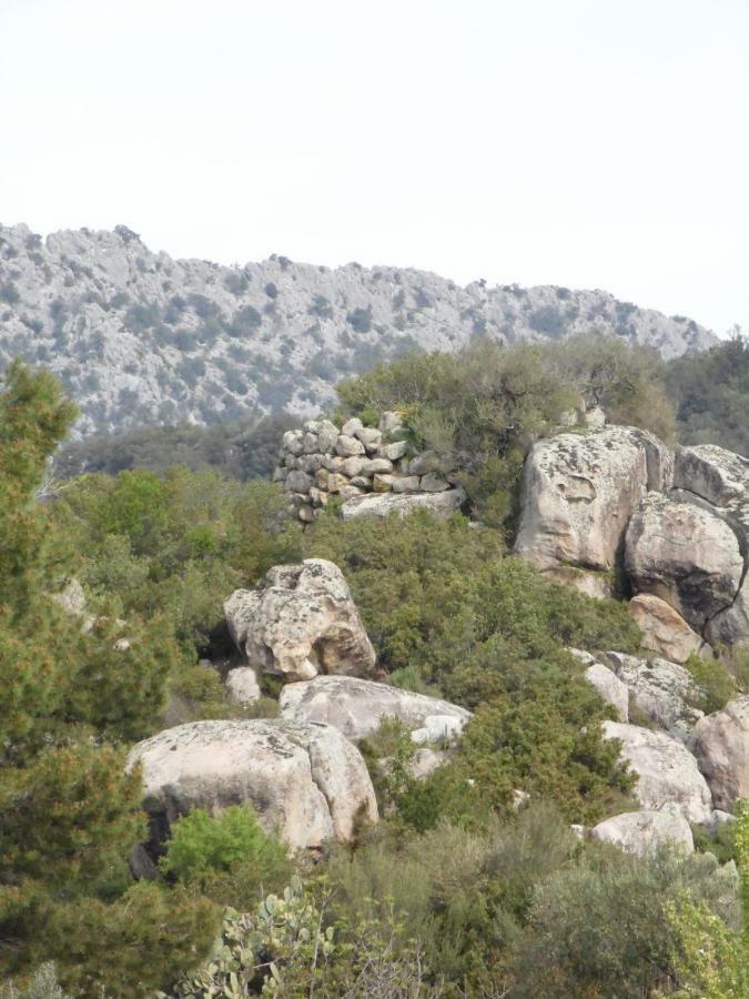 Villa Biriculi Dorgali Kültér fotó
